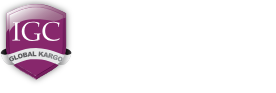 Inter Global Kargo resmi logosu